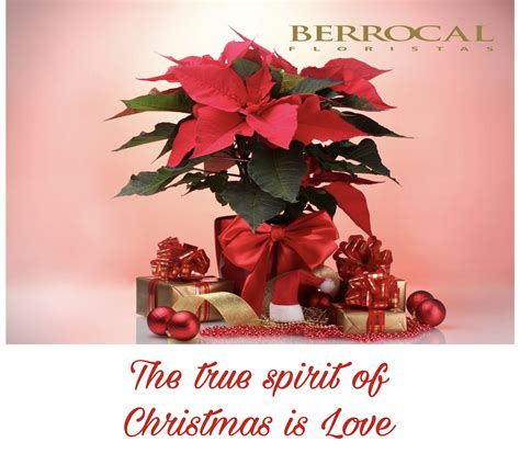 interflora marbella|Florist in Marbella Flowers shop Berrocal Buy flowers delivery in .